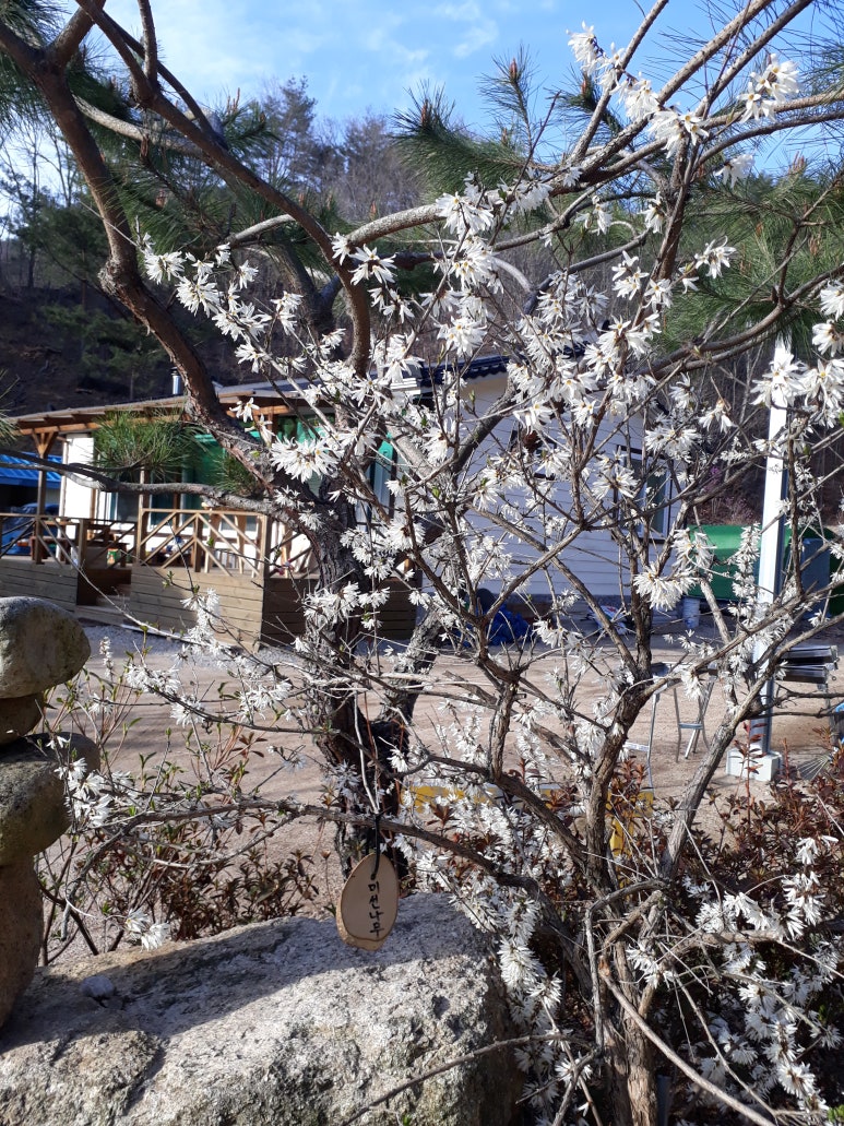 문경숲속정원 이미지