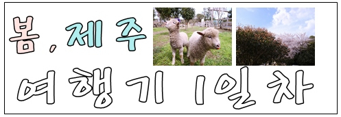 일출봉안동찜닭 이미지