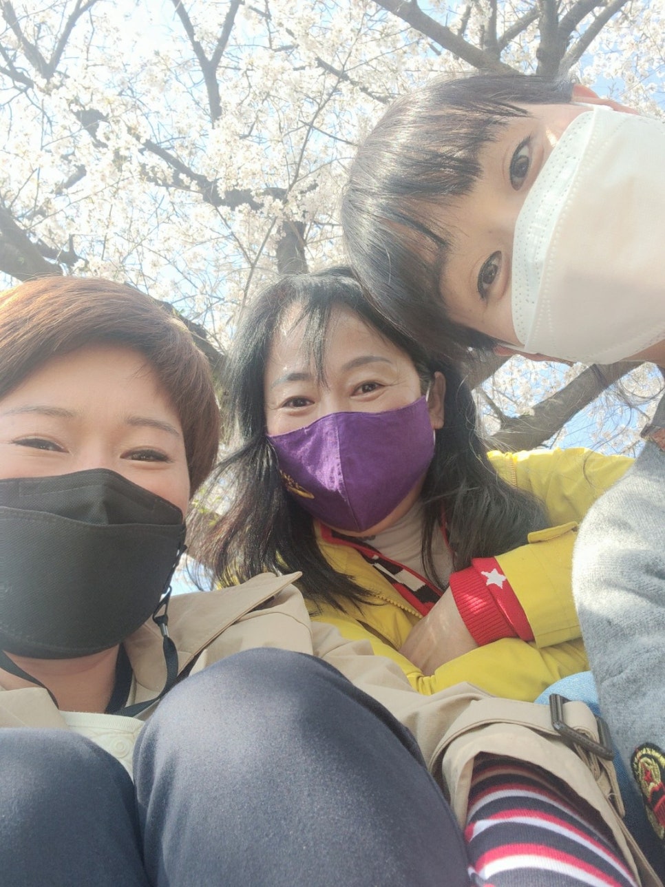 동천상사 이미지