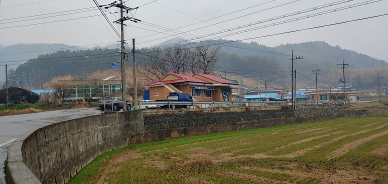 현숙이네 맛집 이미지
