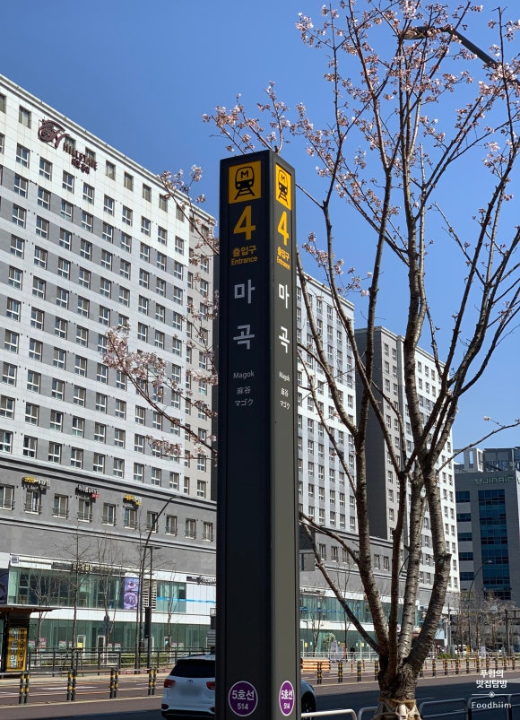 다미부찌 이미지