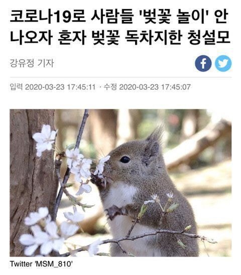 꽁쓰 이미지