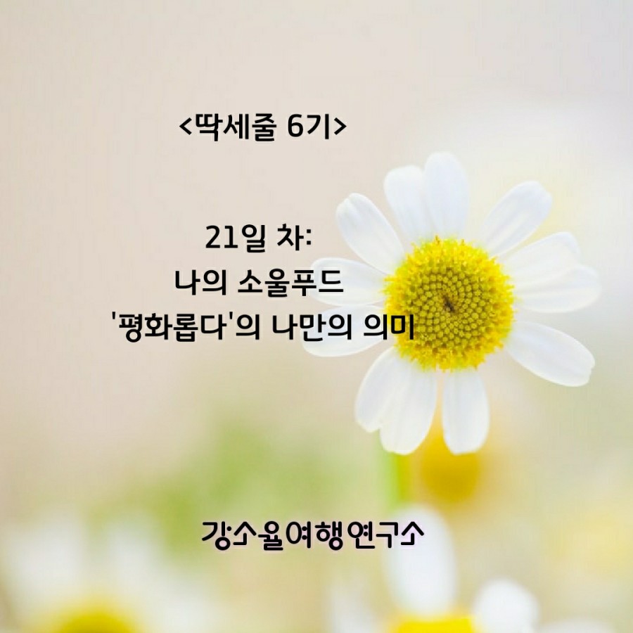 평화푸드 이미지