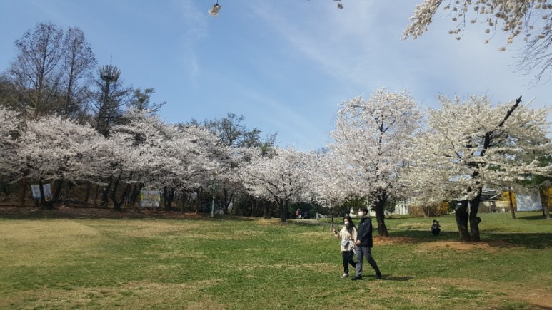 숲속당구 이미지
