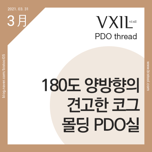 비코그 이미지