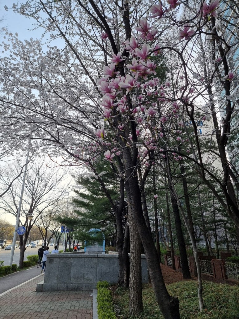 엔한의원 이미지