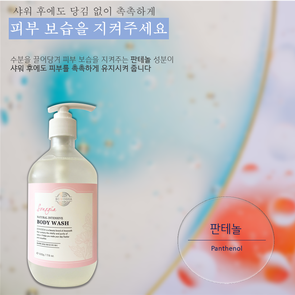 소노지아 이미지