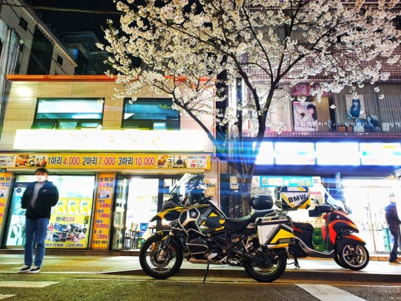종로통닭 이미지
