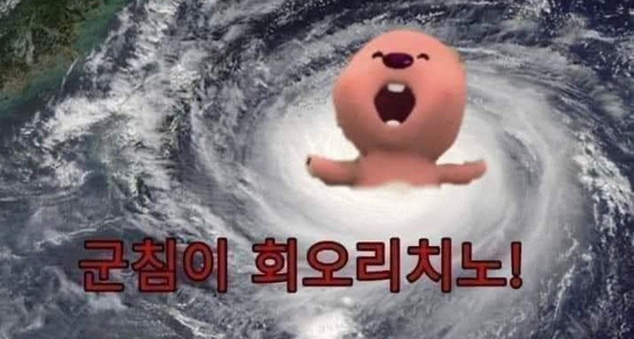 한성칼국수 이미지