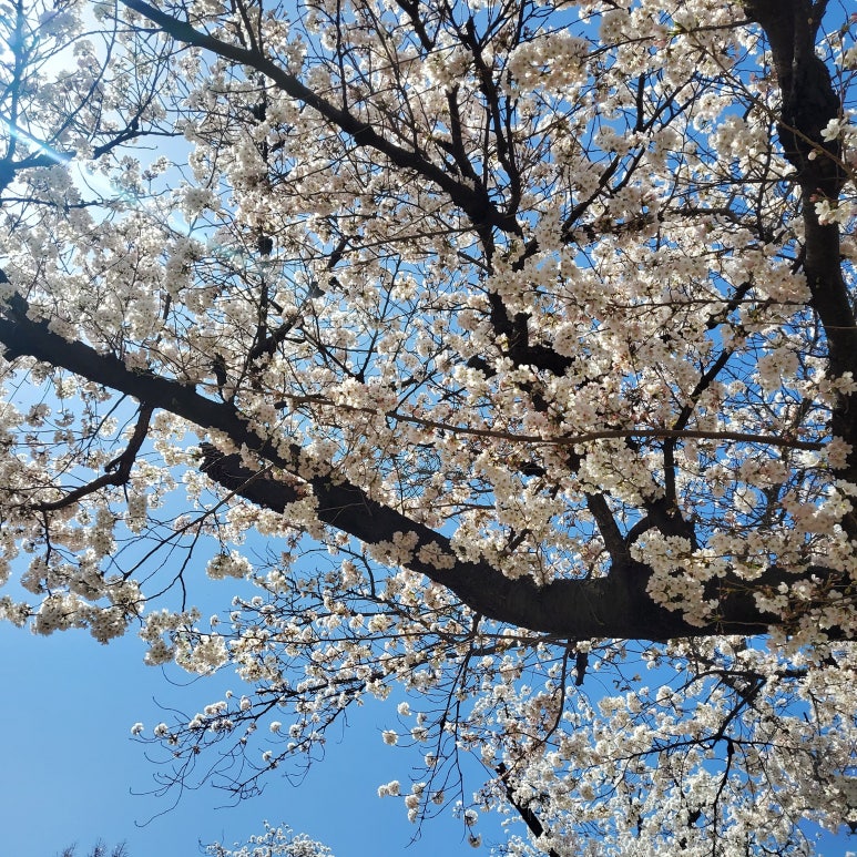 강변메기매운탕 이미지