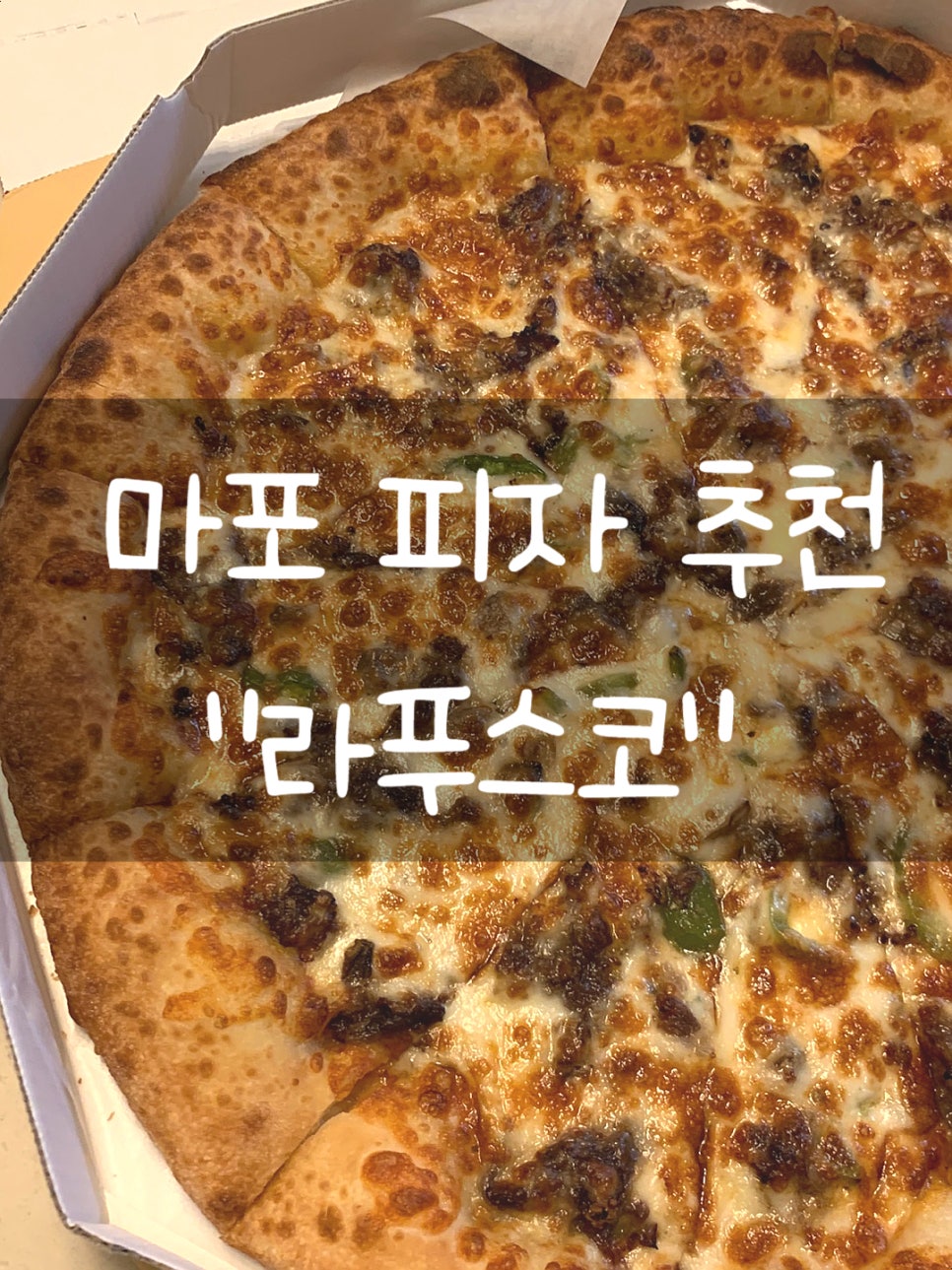라푸스코 이미지