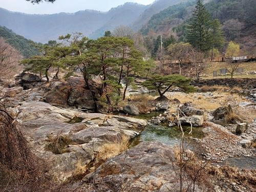 청정휴식공원 이미지