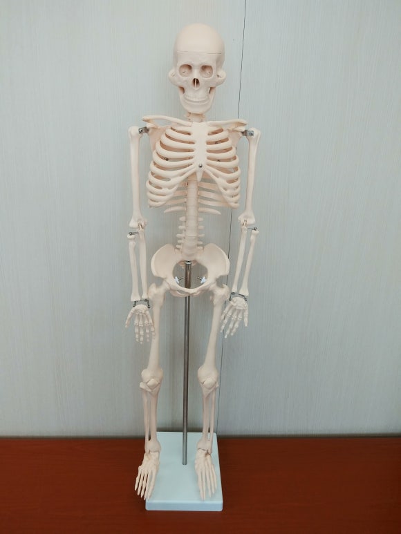 원주간호학원 이미지