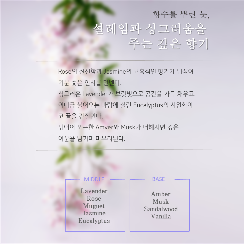 소노지아 이미지