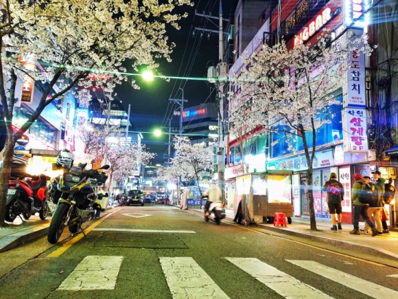 한국통닭 이미지