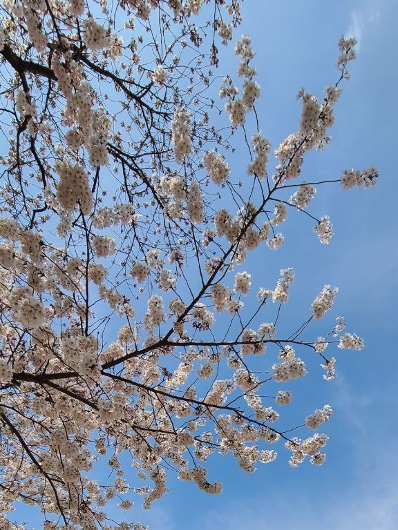 조은반점 이미지