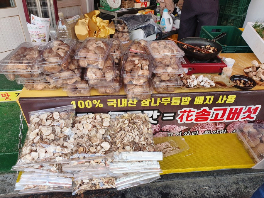 옥이네화송고버섯 이미지