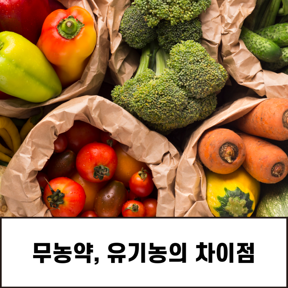 (주)하농식품 이미지