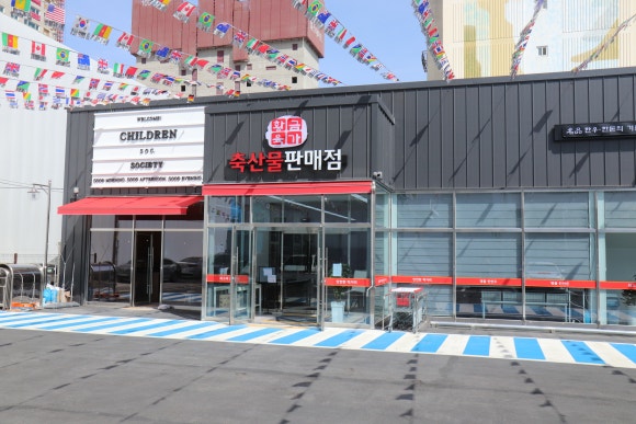 황금육가 이미지