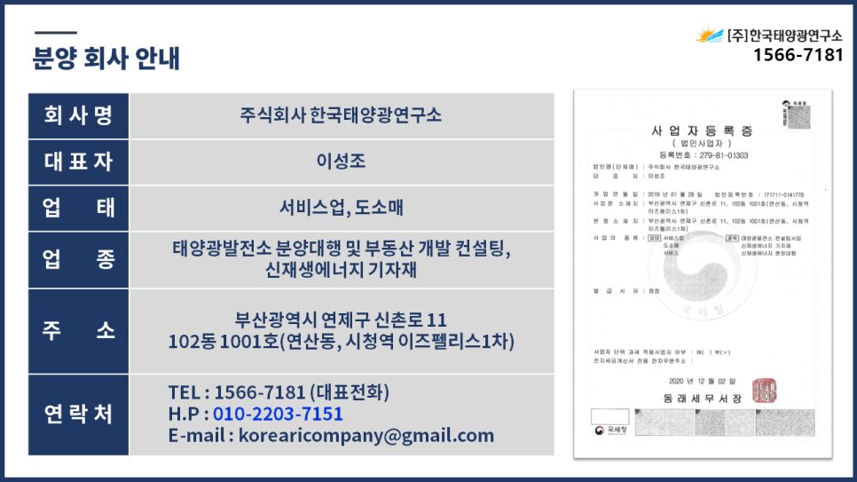 태양굼벵이 이미지