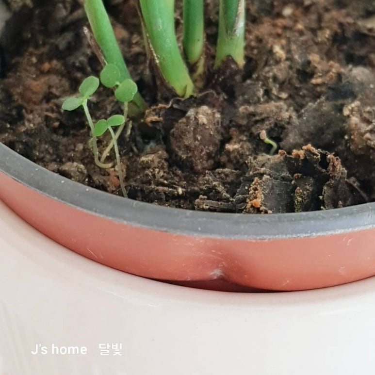 테이블프로젝트 이미지