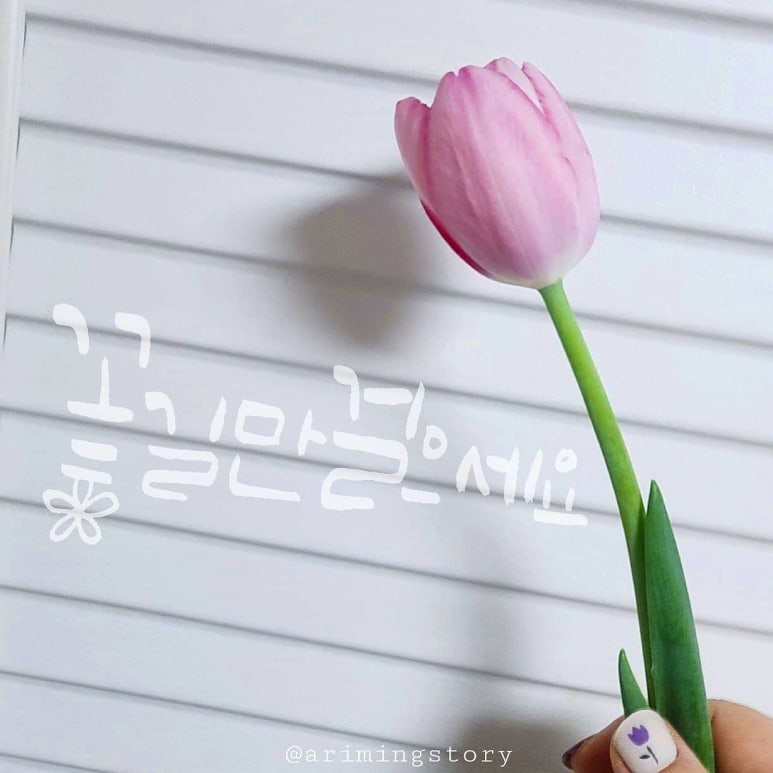 캘리스토리 이미지