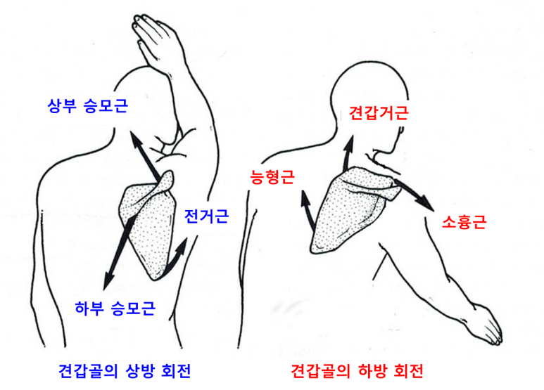 가로세로한의원 이미지