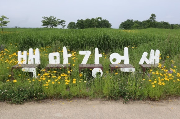 백마강식당 이미지