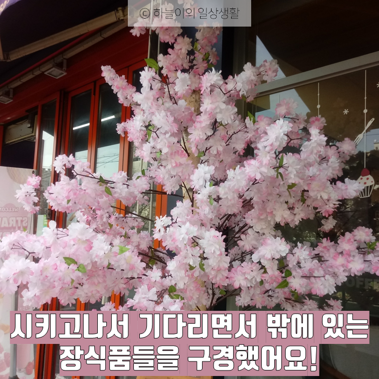 이디야커피산곡동점 이미지
