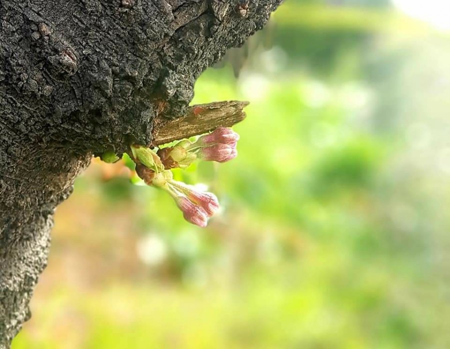 울주산업 이미지