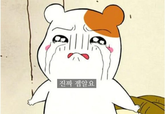 렉토피아 이미지