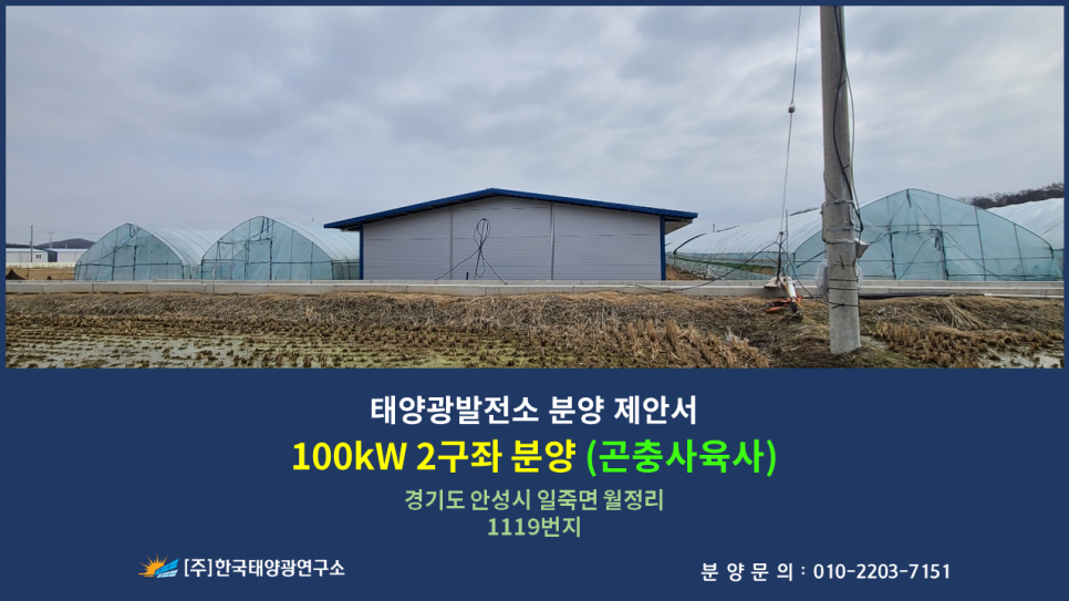 태양굼벵이 이미지