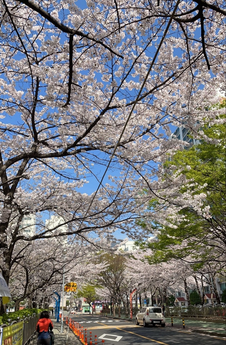 세은식품 이미지