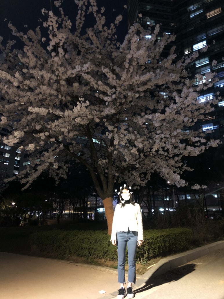 벚꽃분식 이미지