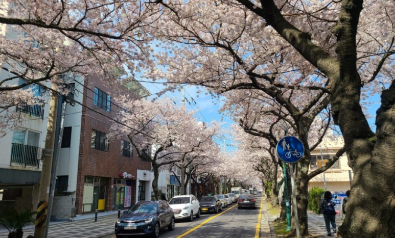이디야삼도점 이미지