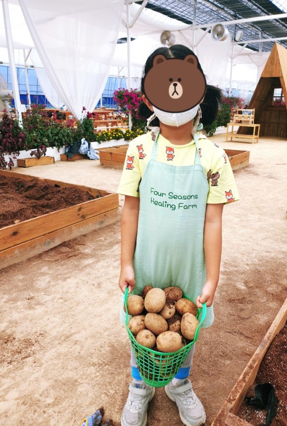 리틀포시즌 이미지