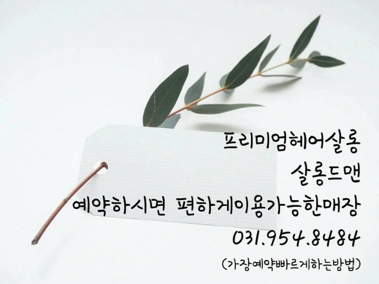 캐슬헤어월드 이미지