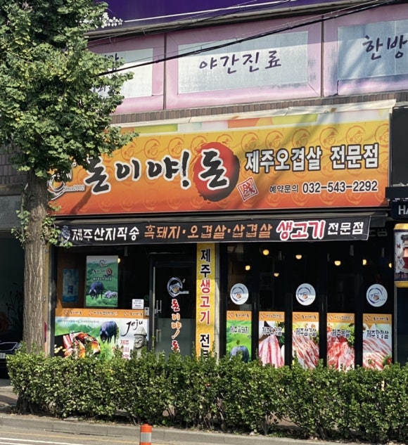 돈이야돈 이미지