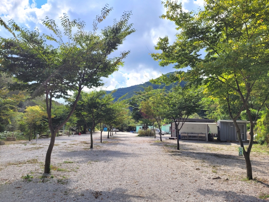 담터 금학캠핑장 이미지
