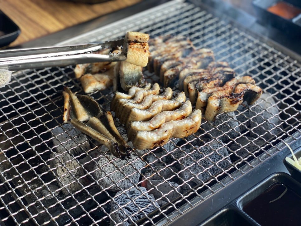 마초장어 이미지