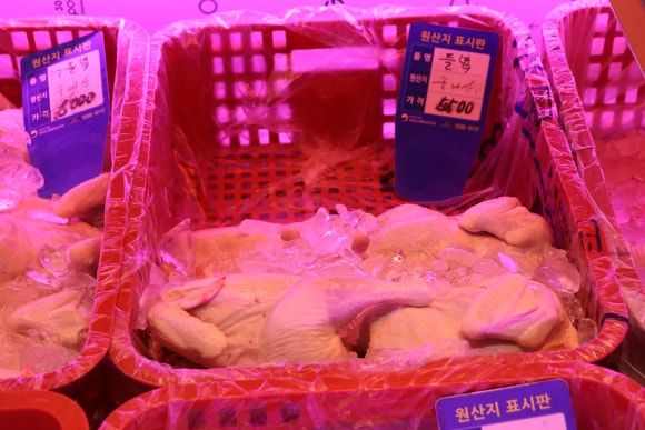 일심닭집 이미지