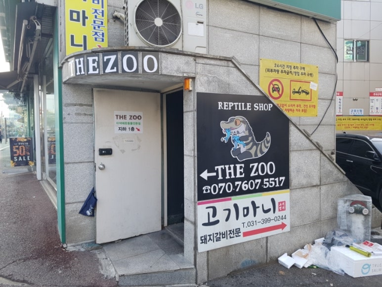 금정크로커다일 이미지