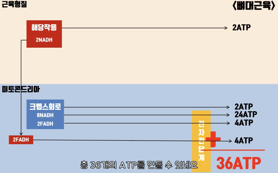 (주)정인에너지 이미지