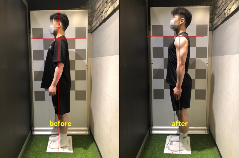 베이스오브바디 이미지