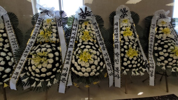 프리덤라이프 이미지