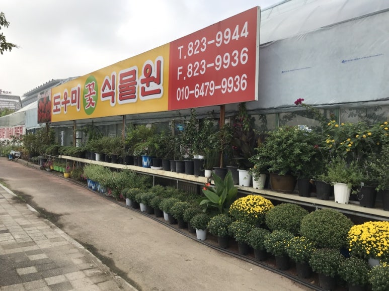 도우미꽃식물원 이미지