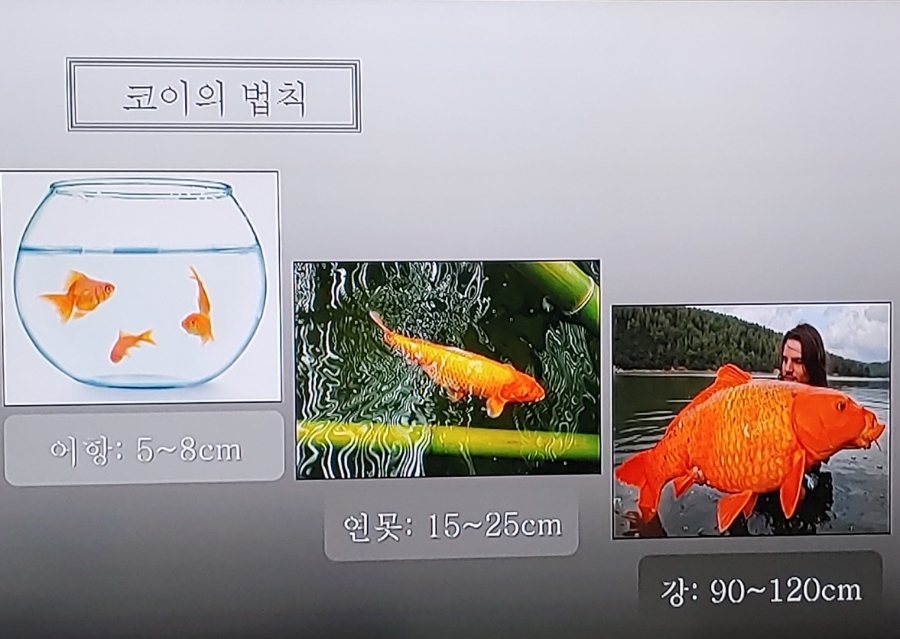 모든유통 이미지