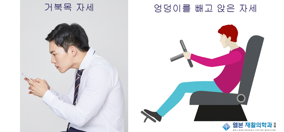 웰본 이미지