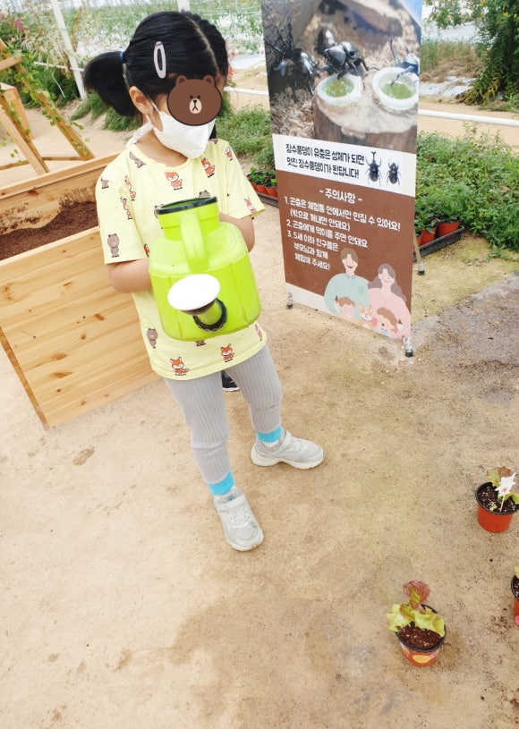 리틀포시즌 이미지