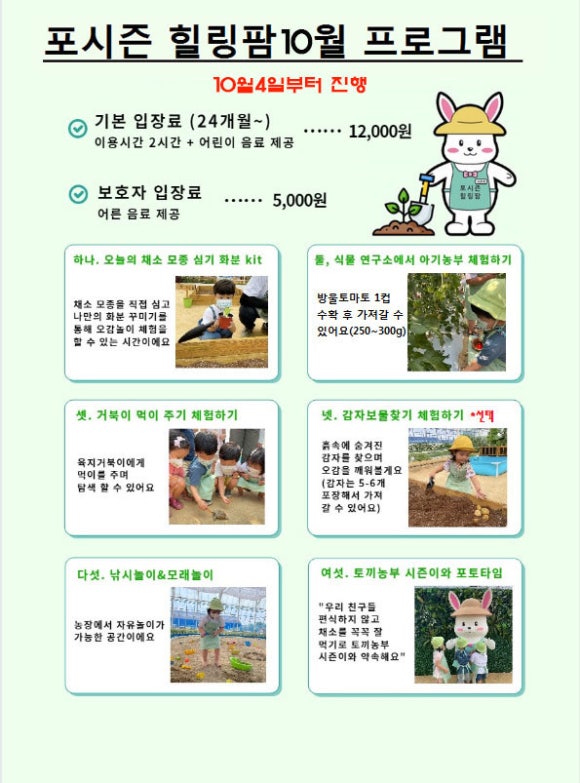 리틀포시즌 이미지